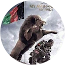 Farddin Zafari profile picture